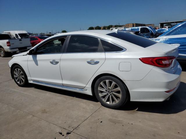 5NPE34AF1FH042454 Hyundai Sonata Sport