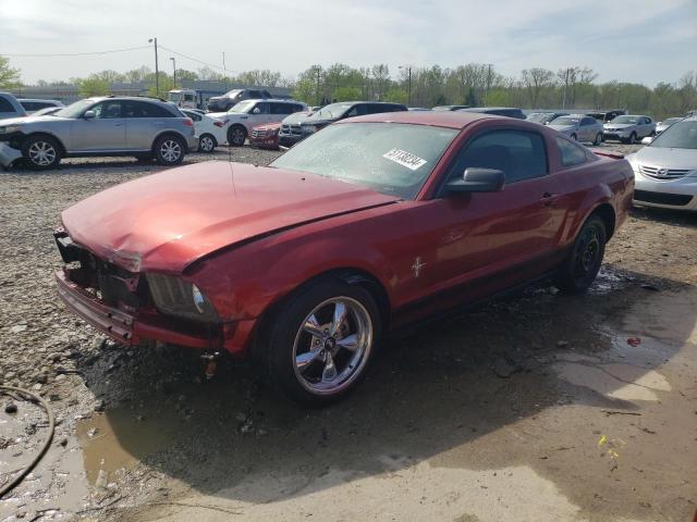 Auction sale of the 2007 Ford Mustang, vin: 1ZVFT80N375334013, lot number: 51138234