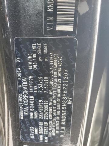 KNDNE5H38P6221307 KIA Carnival Sx