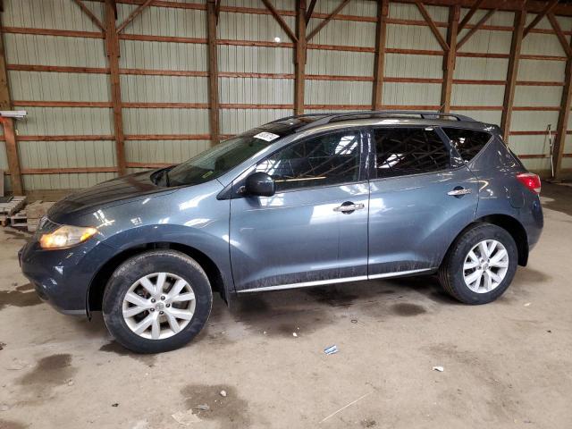 Auction sale of the 2012 Nissan Murano S, vin: JN8AZ1MW2CW202309, lot number: 49378714