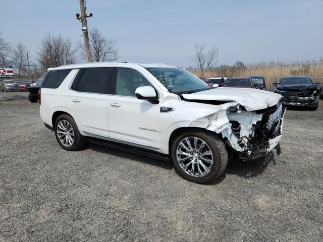 1GKS2DKL1PR535608 GMC YUKON DENALI