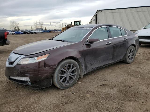 Auction sale of the 2010 Acura Tl, vin: 19UUA8F52AA800652, lot number: 50693734