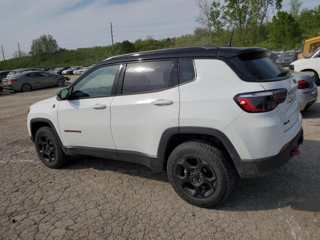 3C4NJDDN3PT555487 Jeep Compass Trailhawk