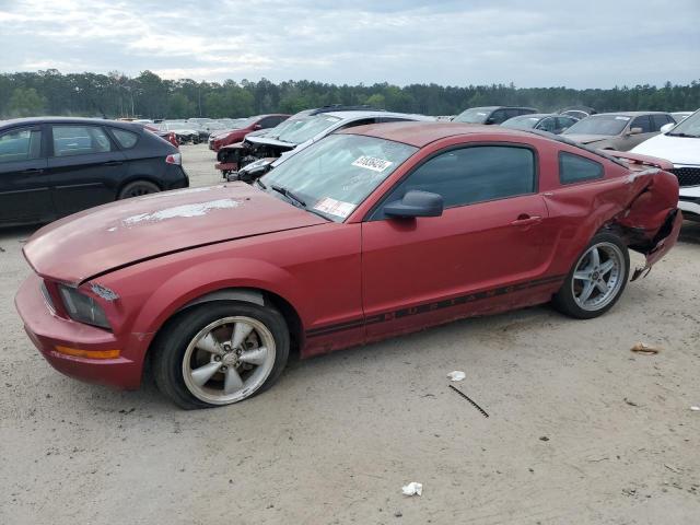 Продажа на аукционе авто 2005 Ford Mustang, vin: 1ZVFT80N455184524, номер лота: 51836424