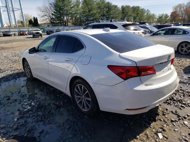 19UUB1F3XKA011069 Acura TLX
