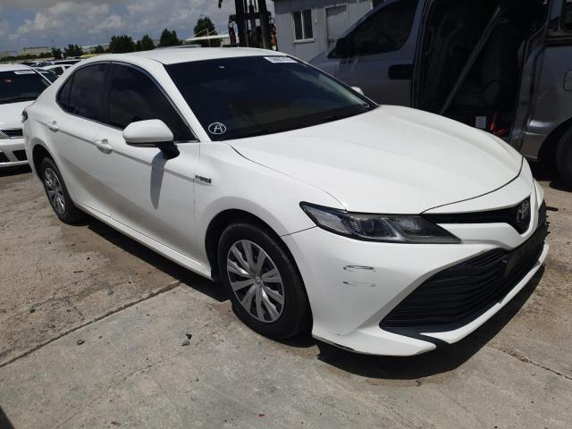Auction sale of the 2019 Toyota Camry, vin: *****************, lot number: 50007474