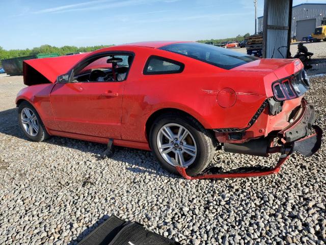 1ZVBP8AM0E5330555 Ford Mustang