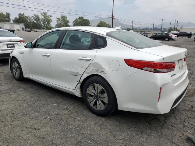 KNAGT4LE9H5011532 KIA Optima