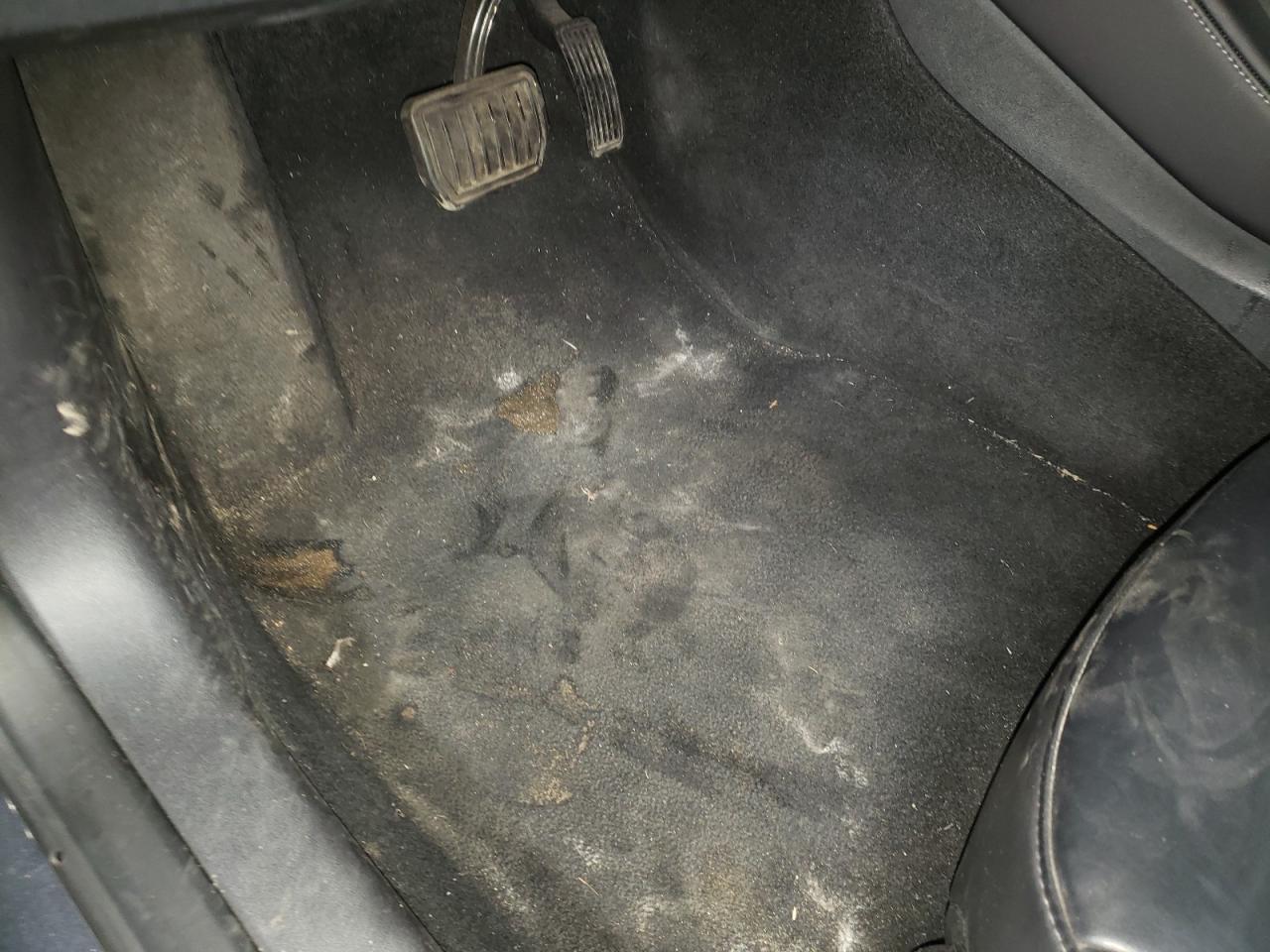 Auction sale of the 2022 TESLA MODEL 3 , vin: 5YJ3E1EA8NF372507, lot number: 52572705