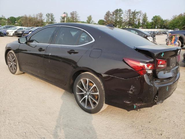 19UUB2F32FA020439 Acura TLX
