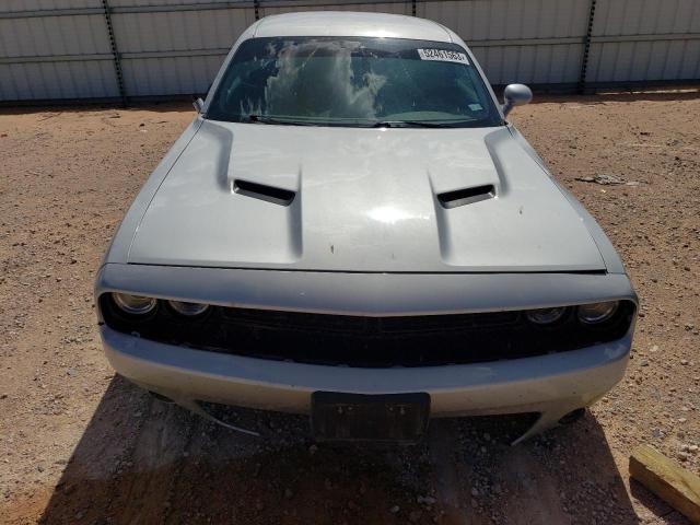 2C3CDZAG6LH195219 Dodge Challenger Sxt