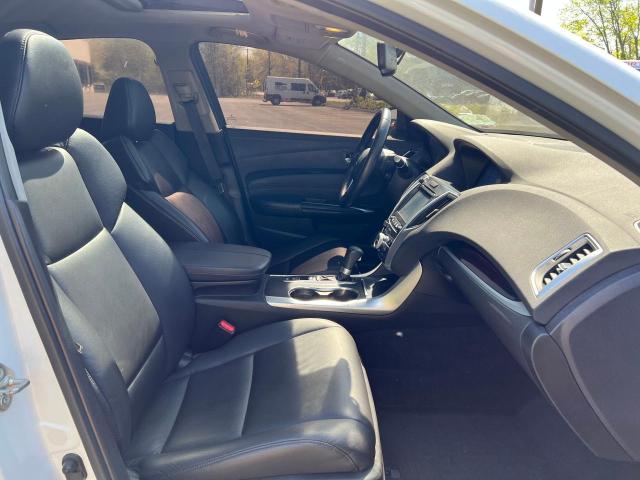 19UUB1F34FA028245 Acura TLX