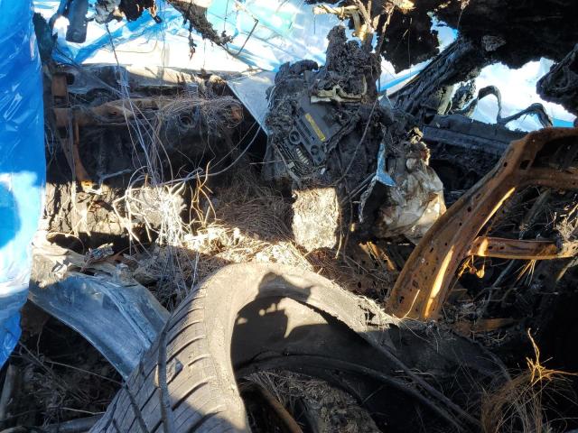 WBA5A7C59GG148584 BMW 528 XI