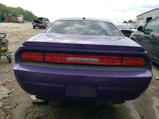 2C3CDYBT3EH139313 Dodge Challenger R/t