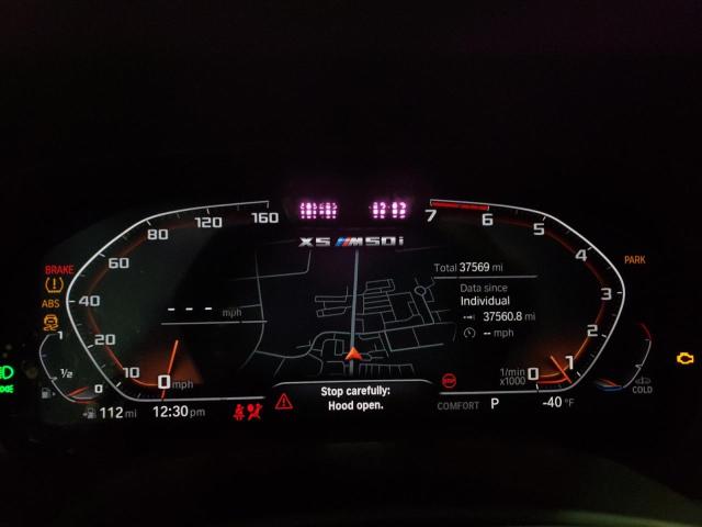 5UXJU4C06M9G17627 BMW X5 M50i