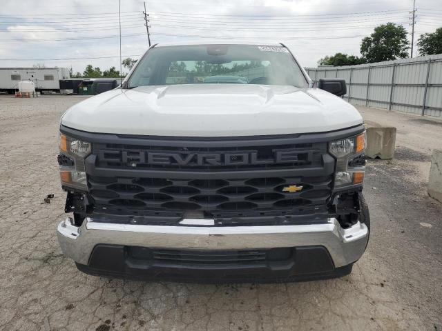 3GCNAAED8PG189846 Chevrolet Silverado C1500