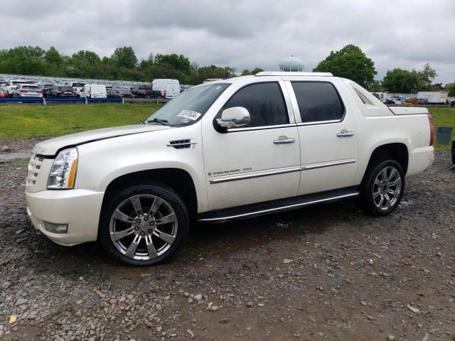 Auction sale of the 2008 Cadillac Escalade Ext, vin: 3GYFK62878G259791, lot number: 53978534