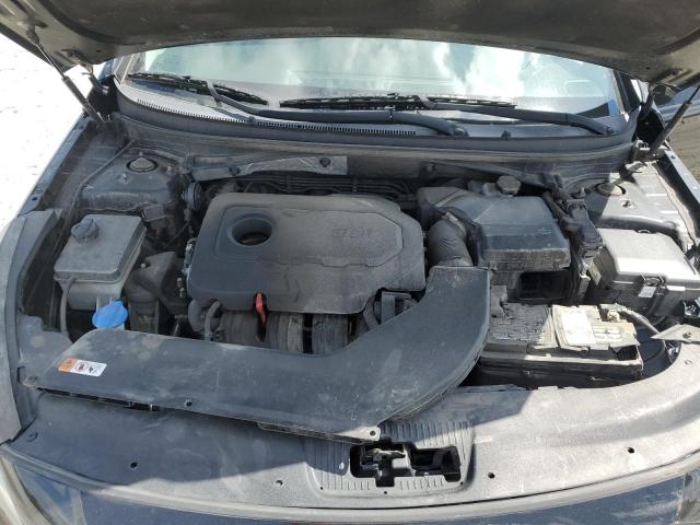 5NPE34AF6GH321559 Hyundai Sonata Sport