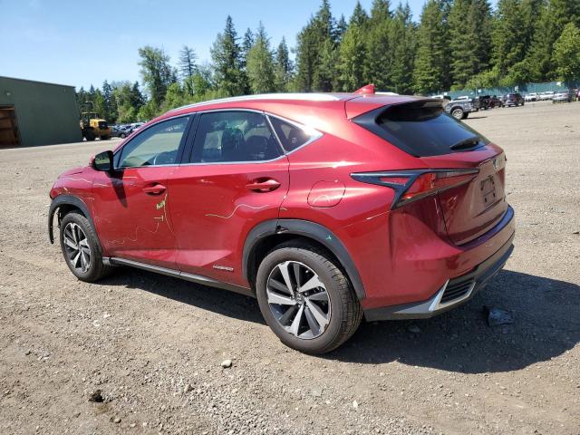 JTJGJRDZ6L5005846 Lexus NX 300H
