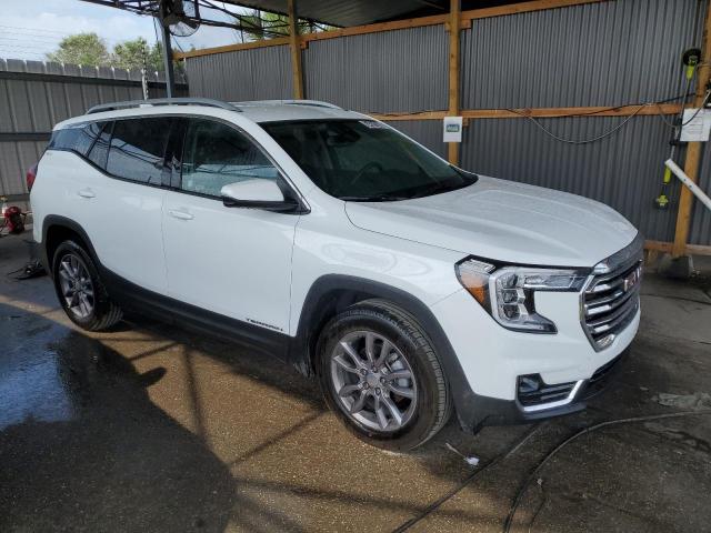 3GKALVEG9RL176399 GMC Terrain Slt