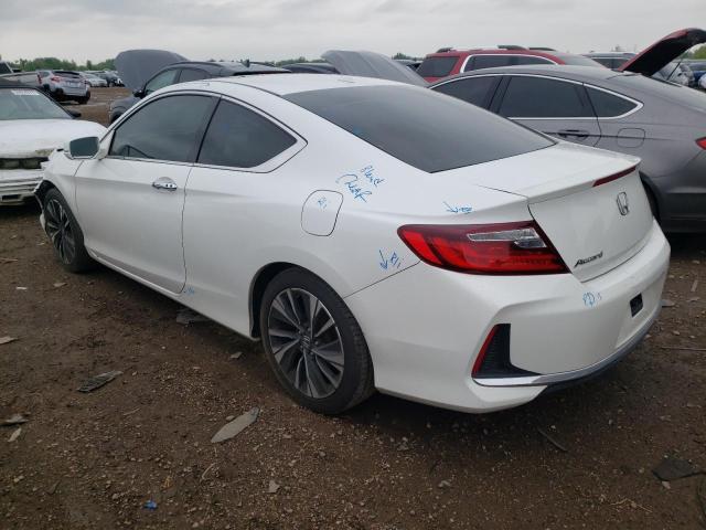 1HGCT1B82GA003906 Honda ACCORD EXL