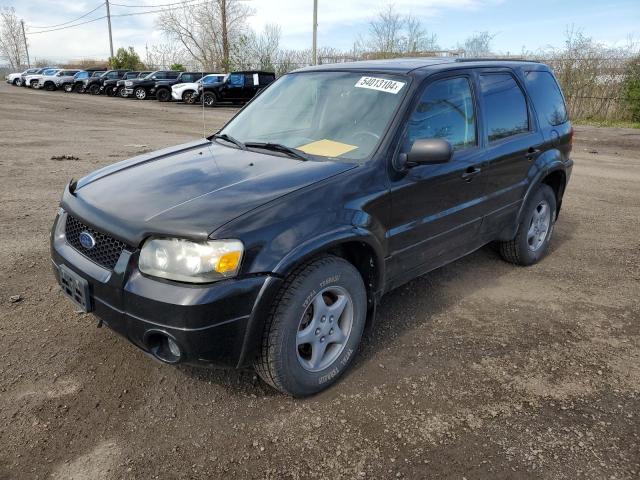Auction sale of the 2005 Ford Escape Limited, vin: 00000000000000000, lot number: 54013104