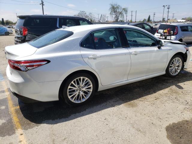 4T1F31AK4LU531556 Toyota CAMRY XLE