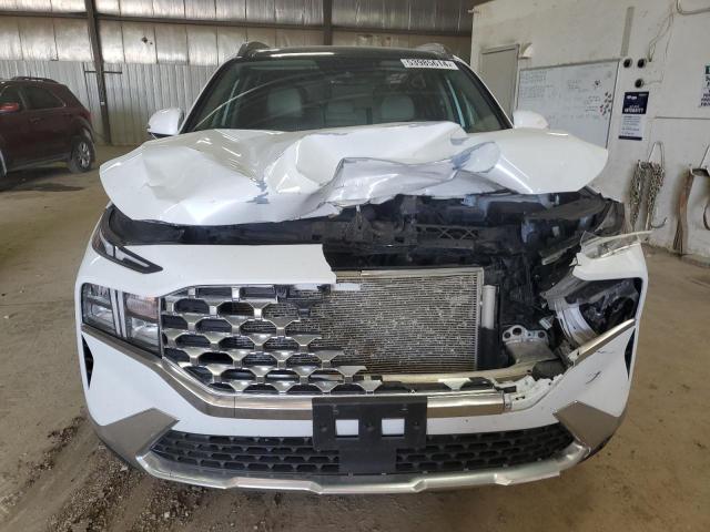 5NMS3DAJXMH309897 Hyundai Santa Fe Sel