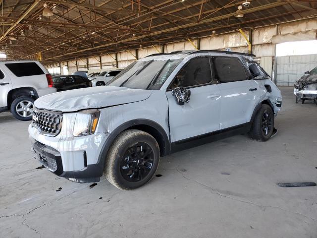 Auction sale of the 2024 Kia Telluride Sx, vin: 5XYP5DGC7RG489298, lot number: 53742864