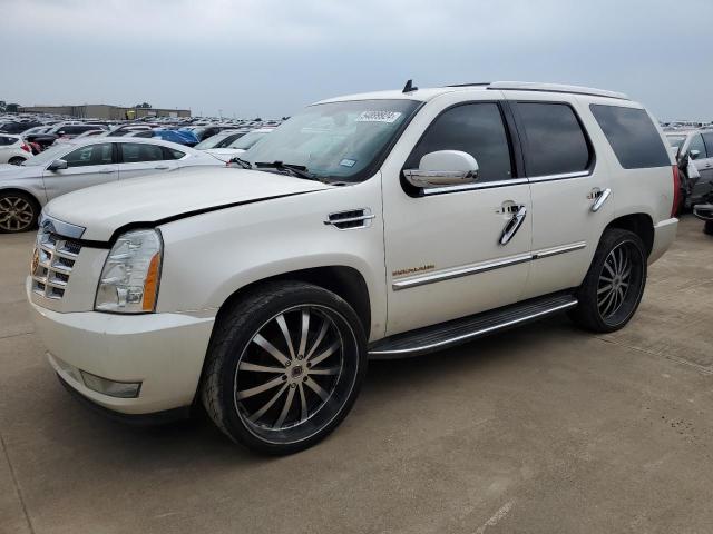 Auction sale of the 2010 Cadillac Escalade, vin: 1GYUCAEF8AR286764, lot number: 54899924
