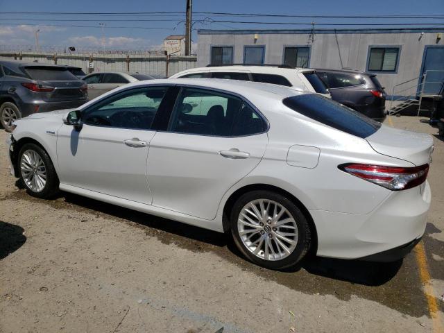 4T1F31AK4LU531556 Toyota CAMRY XLE