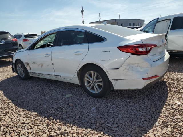 5NPE24AF4GH429925 Hyundai SONATA SE