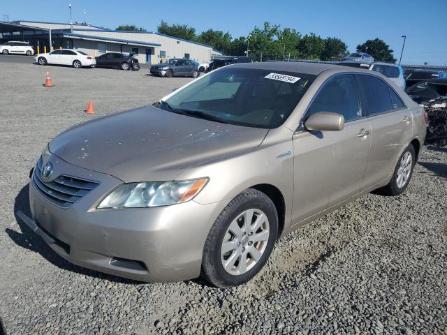 Auction sale of the 2009 Toyota Camry Hybrid, vin: 4T1BB46K09U091422, lot number: 53569794