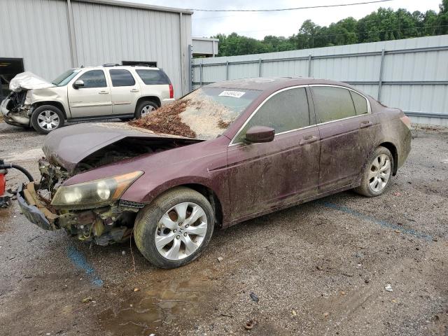 Auction sale of the 2008 Honda Accord Exl, vin: JHMCP26868C001566, lot number: 55484424