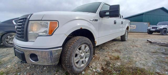 Auction sale of the 2011 Ford F150 Supercrew, vin: 1FTFW1EF2BFC97266, lot number: 53658934