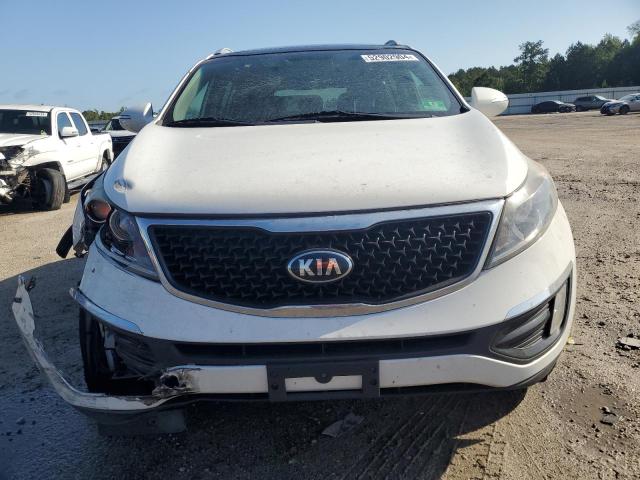 KNDPC3AC3F7741081 KIA Sportage Ex