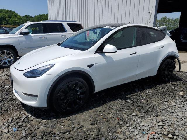 Продаж на аукціоні авто 2023 Tesla Model Y, vin: 7SAYGDEE8PA071940, номер лоту: 54942164