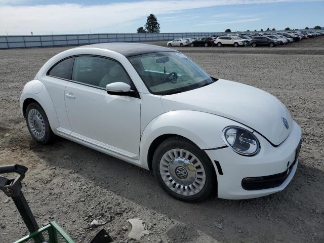 3VWJ17AT5FM608036 Volkswagen Beetle 1.8t