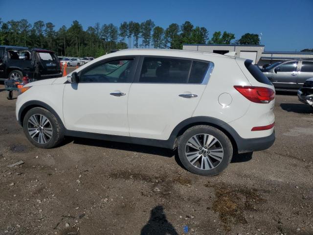 KNDPC3AC3F7741081 KIA Sportage Ex