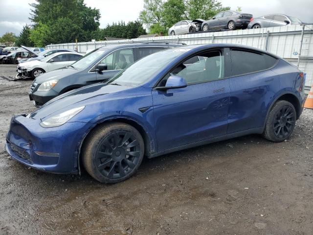 Продаж на аукціоні авто 2023 Tesla Model Y, vin: 7SAYGDEE2PA073327, номер лоту: 54427064