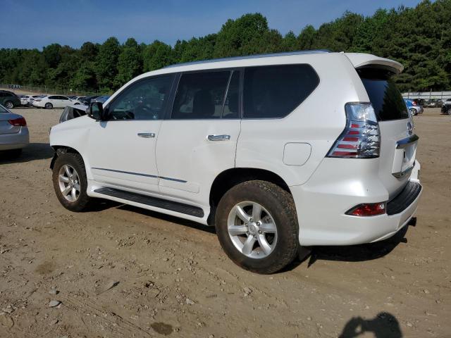 JTJBM7FX8E5071559 Lexus GX 460