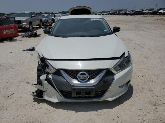 1N4AA6AP9HC445336 Nissan Maxima 3.5s
