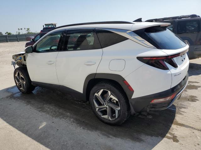 KM8JECA12NU074417 Hyundai Tucson Limited
