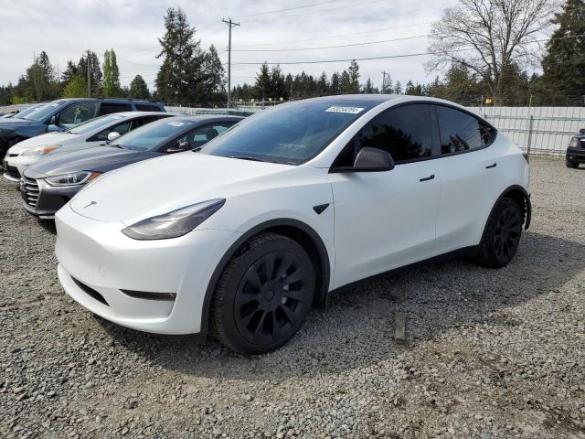 Продаж на аукціоні авто 2023 Tesla Model Y, vin: 7SAYGDEE2PF828026, номер лоту: 53255284