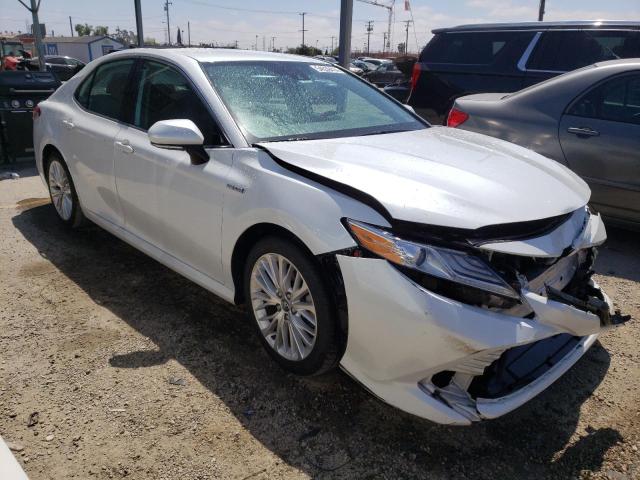 4T1F31AK4LU531556 Toyota CAMRY XLE