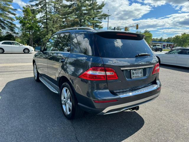 4JGDA0EB2FA473065 Mercedes-Benz Ml 250 Bluetec