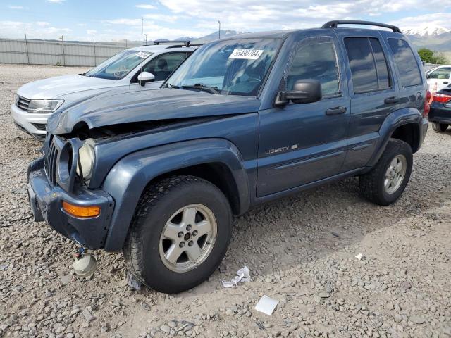 Auction sale of the 2002 Jeep Liberty Limited, vin: 1J4GL58K82W213538, lot number: 55490704