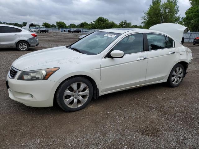 Auction sale of the 2008 Honda Accord Exl, vin: 1HGCP36868A803247, lot number: 56270974