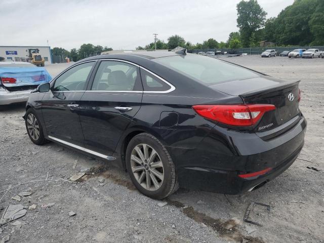 5NPE34AF9GH356239 Hyundai Sonata Sport