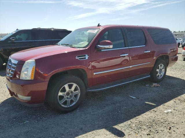 Auction sale of the 2007 Cadillac Escalade Esv, vin: 1GYFK66847R321396, lot number: 53355954